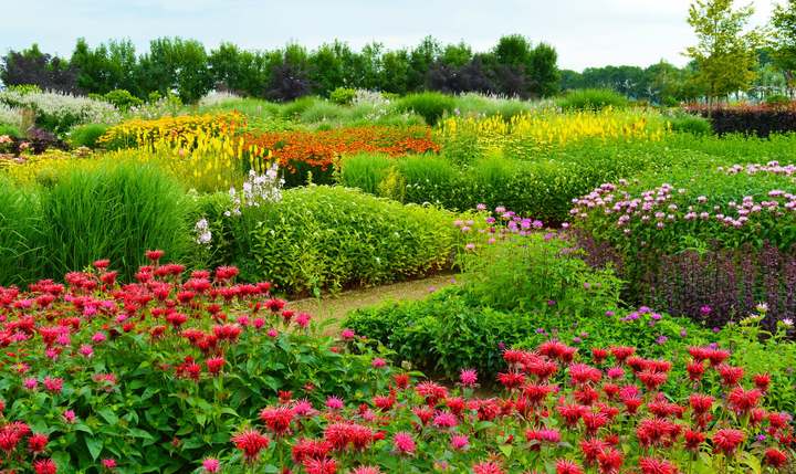 TASPO GARTENDESIGN Die blühenden Gärten von Appeltern